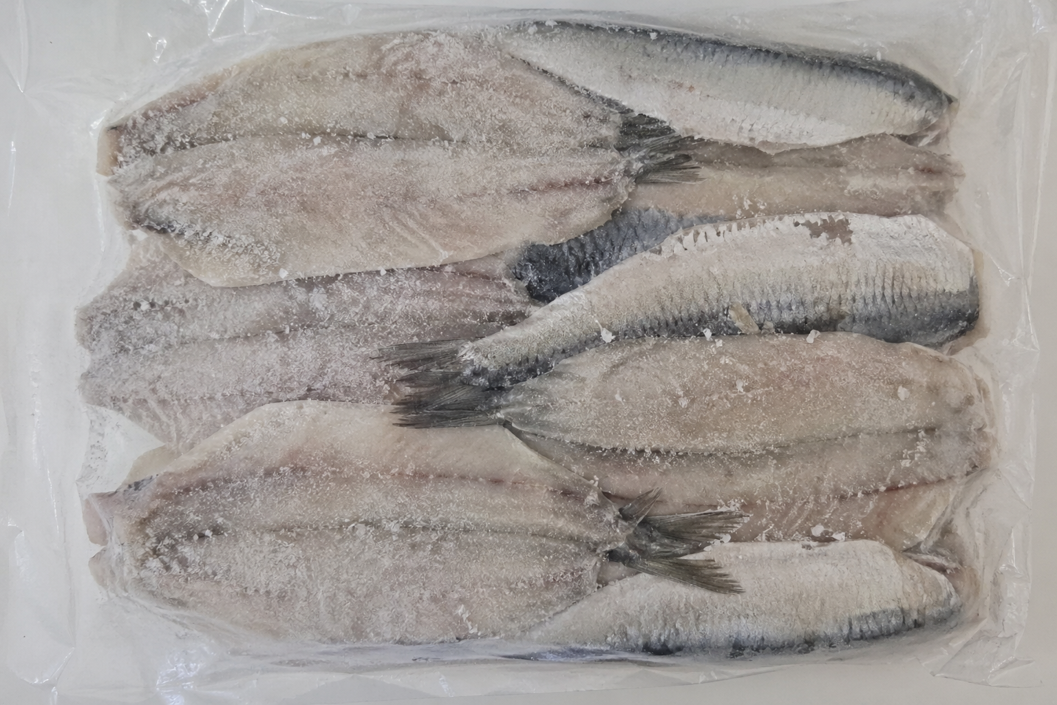 ChatGPT Image 29 de abr. de 2026, 13_21_02.png