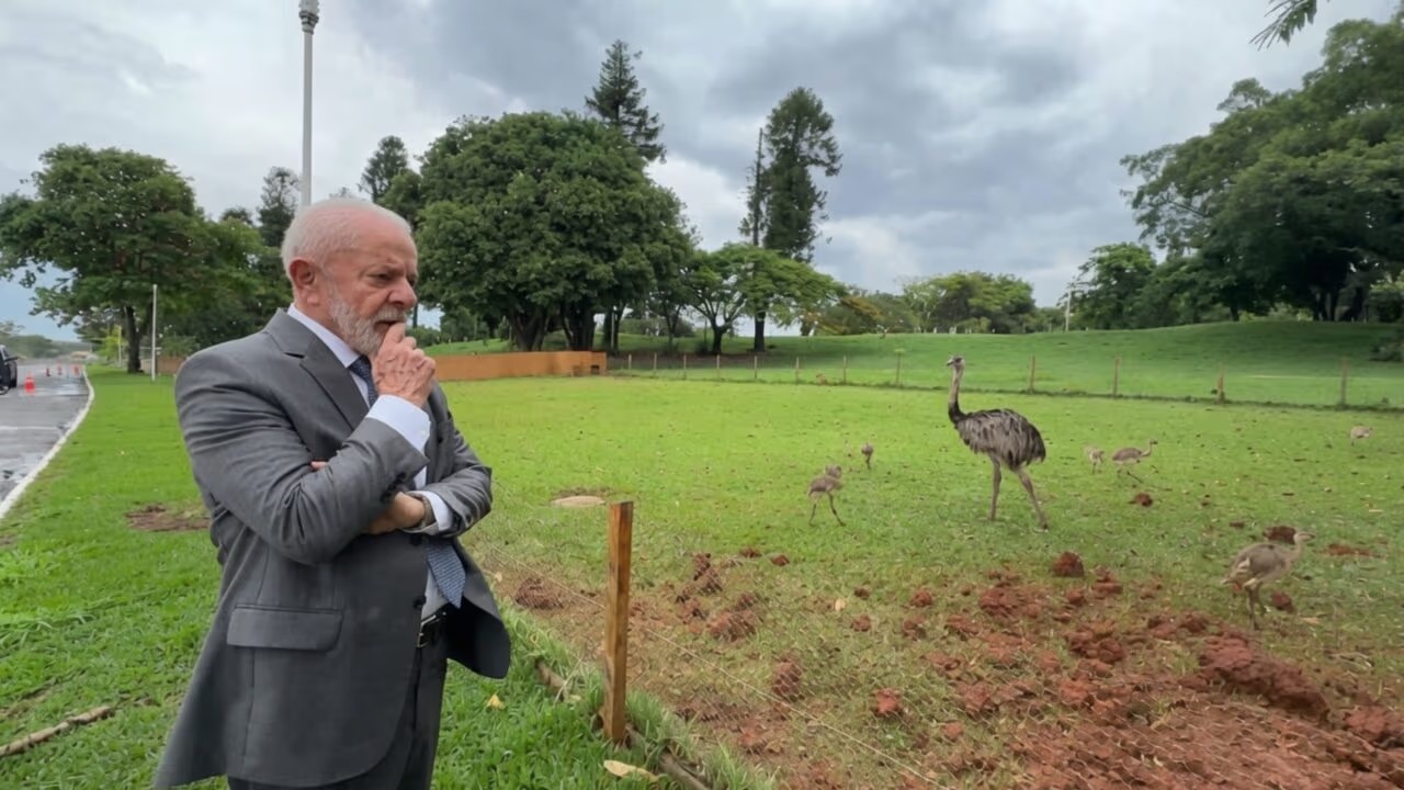 Lula | Foto: Reprodução de vídeo/ PR