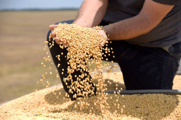 FireShot Capture 022 - Tarifaço deve atingir 36% das exportações do agro brasileiro, diz C_ - [g1.globo.com].png