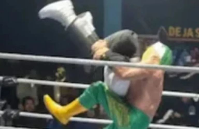 Lutador aplica golpe proibido e mata árbitro em luta livre