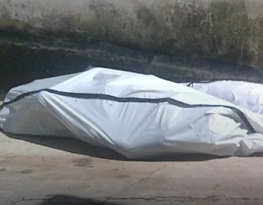 Captura de tela 2026-10-14 092513.png