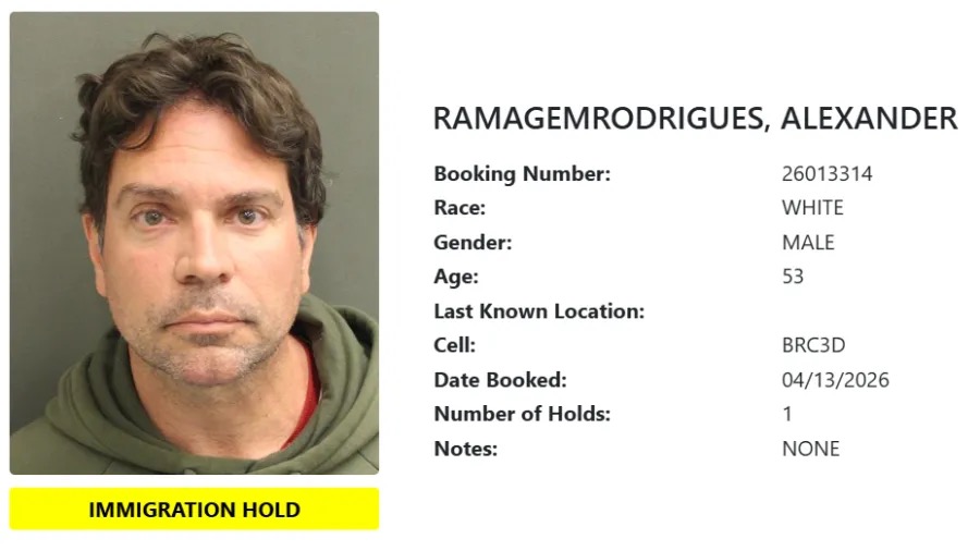 Alexandre Ramagem: o registro, no site do Departamento de Administração Penitenciária de Orange County, na Flórida, de quando ele foi preso nos Estados Unidos, em abril Imagem: Reprodução